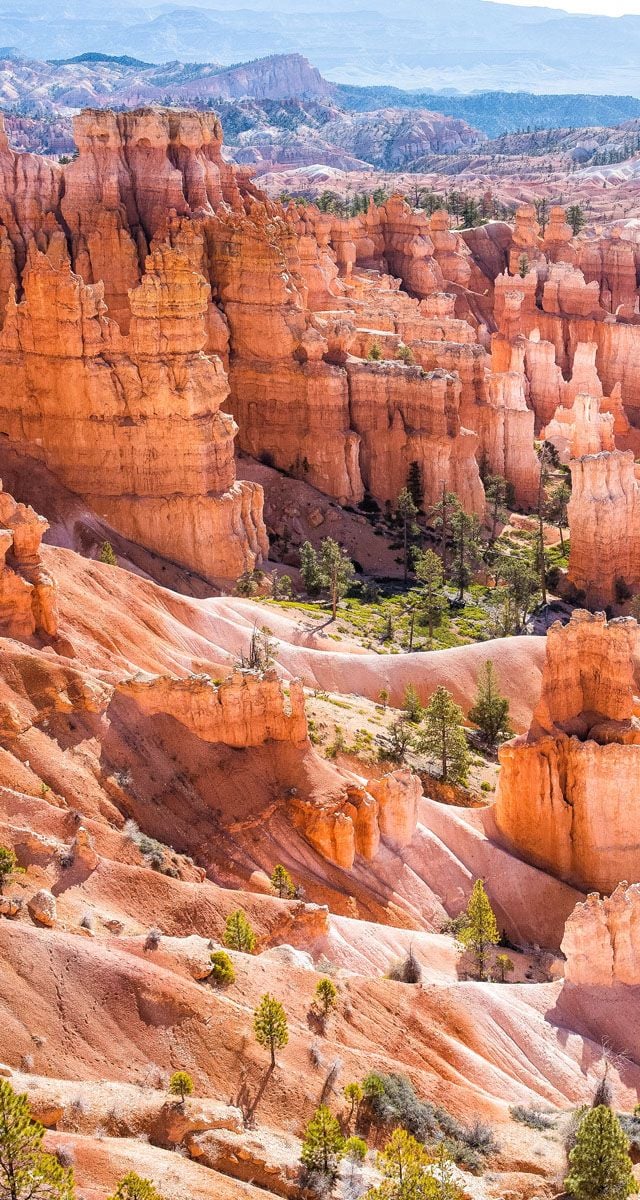 Bryce Canyon National Park hoodoos with red rock formations and scattered evergreen trees